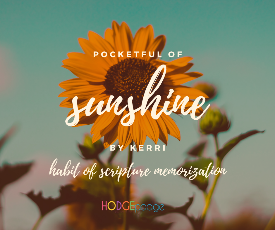 How a simple ring of cards can help build the habit of scripture memorization. A pocketful of sunshine and practical ideas to hide scripture in your heart!