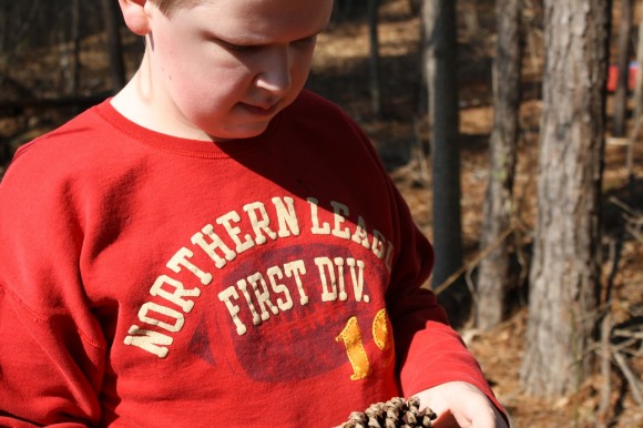discover a pinecone with your winter outdoor hour homeschool nature study