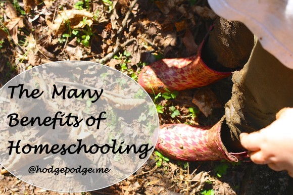 The Many Benefits of Homeschooling