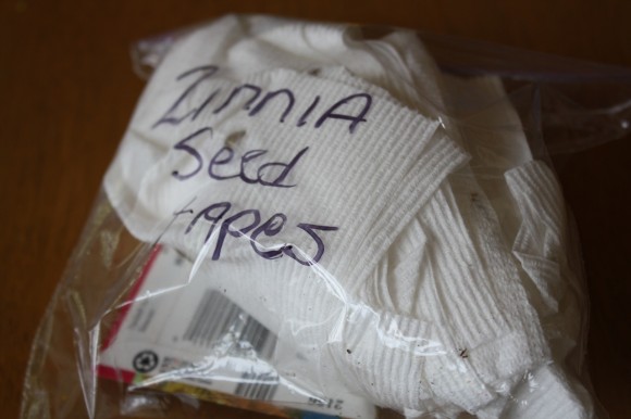 How to make spring-time seed tapes like the ones in pricey seed catalogs. Step-by-step instructions the frugal way with simple supplies you have on hand.