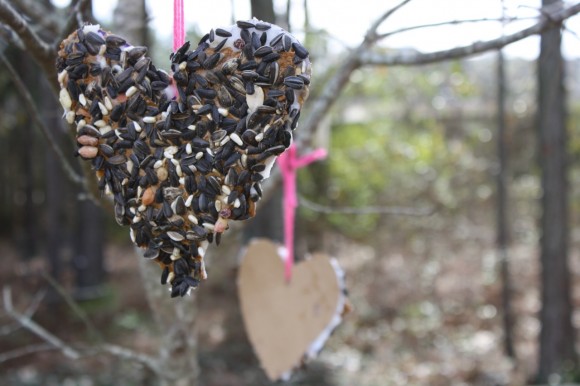A simple, heart-shaped bird feeder. Of course, we must make it. And make it allergy-friendly with Sunbutter. Easy steps and fun to make with your children in honor of the Great Backyard Bird Count!