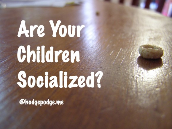 Are-Your-Children-Socialized-580x435
