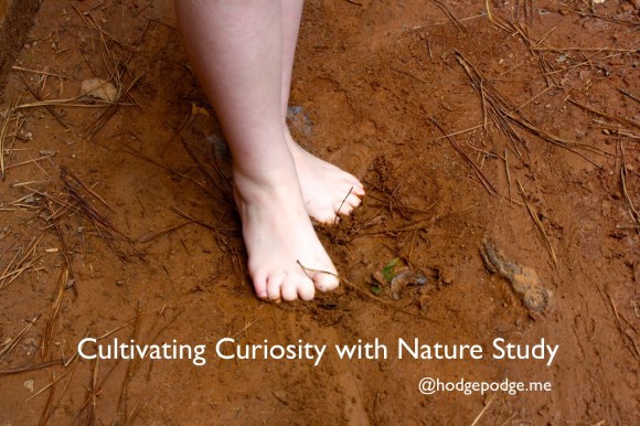 Cultivating curiosity with nature study in your homeschool is simply a delight. It comes naturally with just a bit of practice.