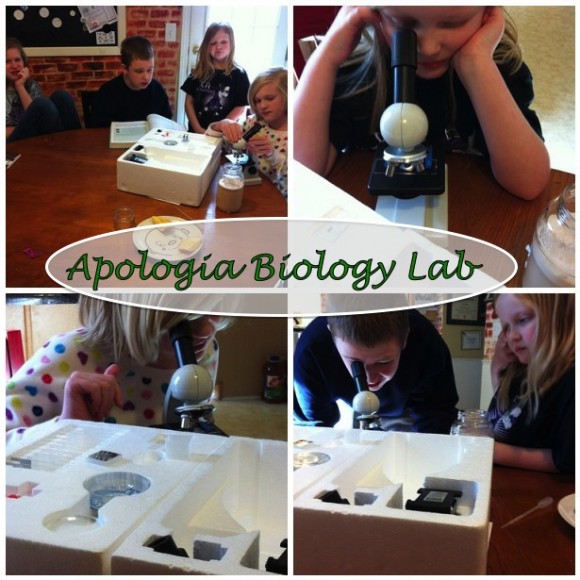 Apologia Biology lab
