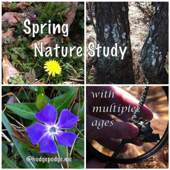 nature study with multiple ages