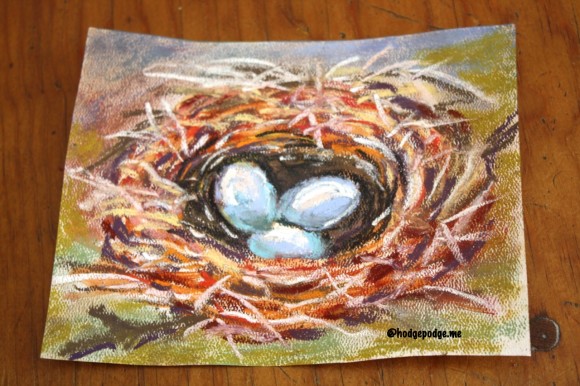 original bird's nest chalk pastel by Lucia Hames