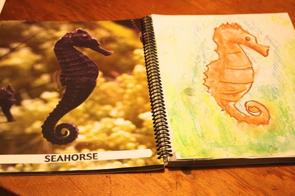 seahorse chalk pastel and AiG Aquarium Guide