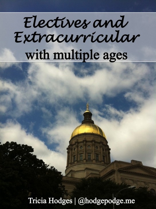 Electives and Extracurricular with Multiple Ages hodgepodge.me