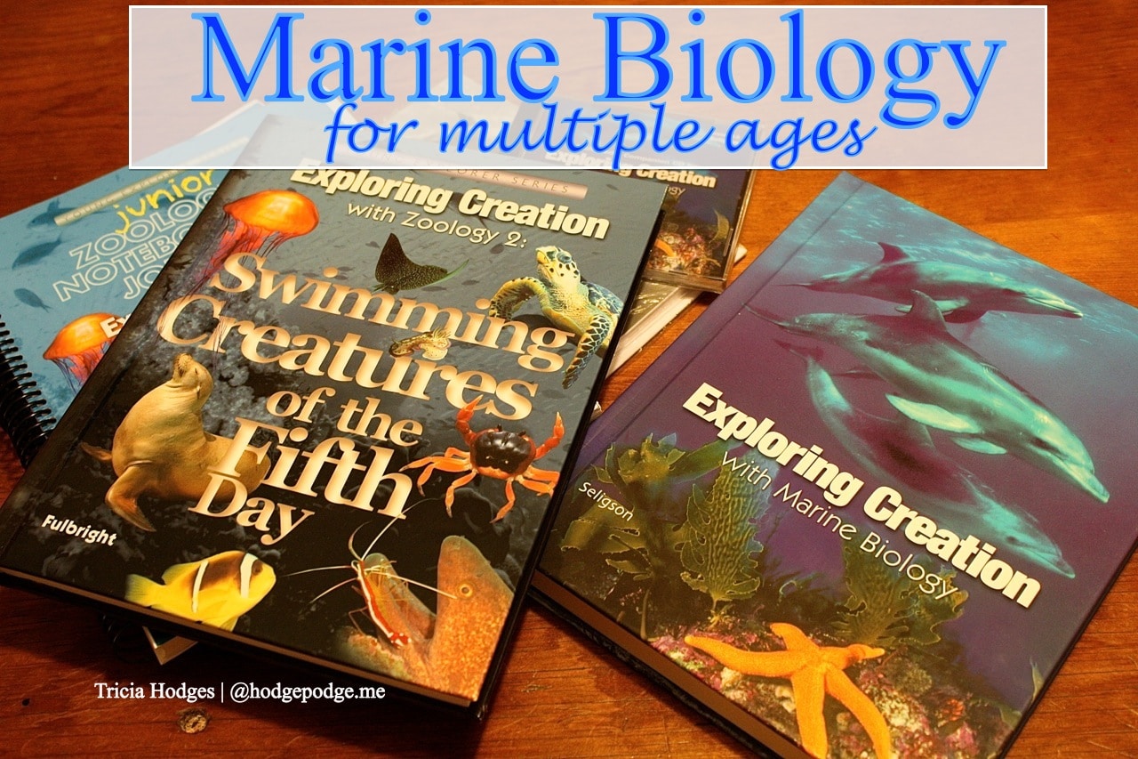 Homeschool Marine Biology for Multiple Ages - HodgepodgeMom