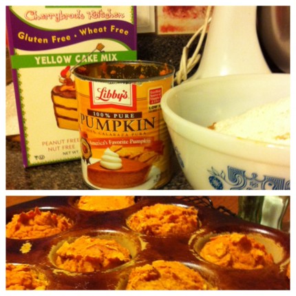 2 ingredient pumpkin muffins recipe