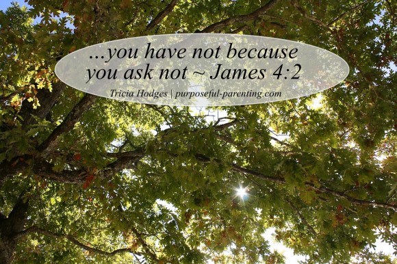 You Have Not Because You Ask Not www.purposeful-parenting.com