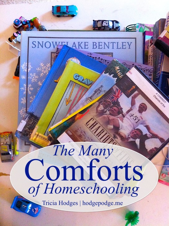 The Many Comforts of Homeschool hodgepodge.me
