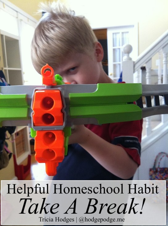 Helpful #Homeschool Habit - Take a Break! hodgepodge.me
