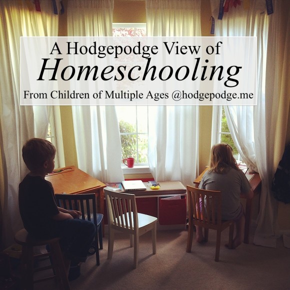 A Hodgepodge View of Homeschooling From Multiple Ages hodgepodge.me