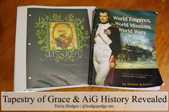 Thoughts on Tapestry of Grace and AiG History Revealed hodgepodge.me