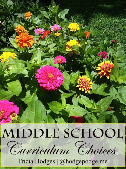 Middle School Curriculum Choices at Hodgepodge - favorites from all our years homeschooling!