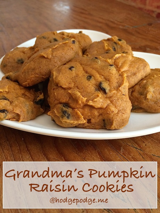 Always a fall favorite are Grandma's Pumpkin Raisin Cookies Recipe. Enjoy this classic recipe for an afternoon treat or for your fall dessert.