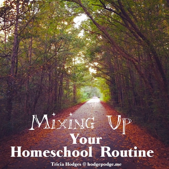 Is it time for a change? Maybe it could be as simple as just a quick walk in the woods. Time for mixing up your homeschool routine!