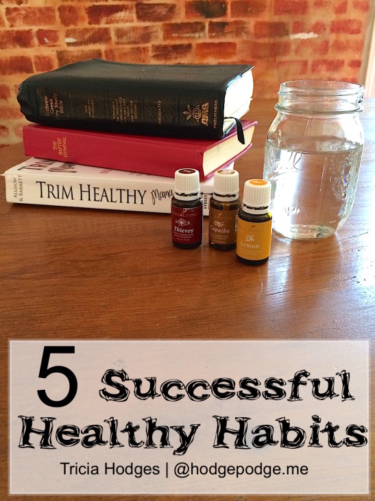5 Successful Healthy Habits