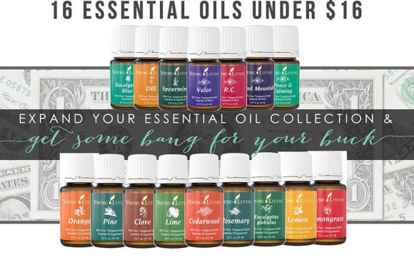 essential oils the frugal way