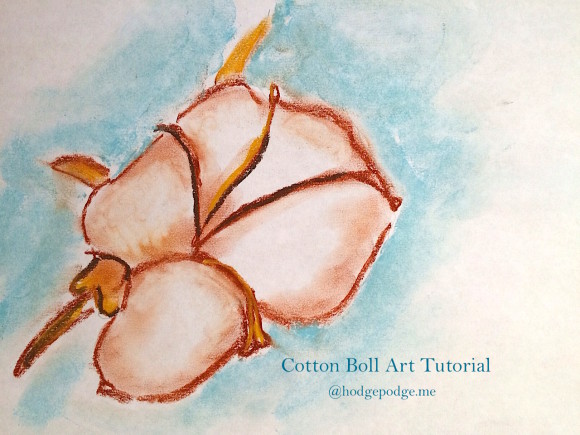 How to Draw a Cotton Boll