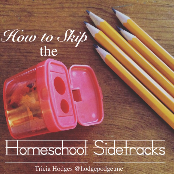 Sidetracks are sometimes a glorious route for learning – following a trail to learn a little more about a certain subject. Those are the good sidetracks and I'm all for them. I'm sharing how to skip the homeschool sidetracks that we don't want taking over the day.