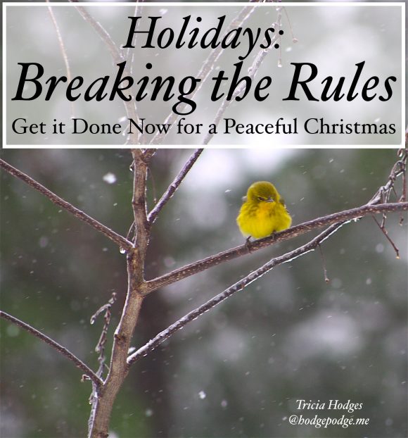 Holidays and breaking the rules. Also know as doing those to dos early. December is such a busy time, why not move a few of those ‘to-dos’ to November?