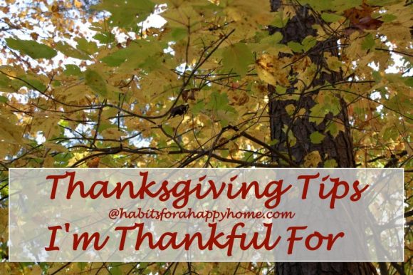 Thanksgiving Tips I'm Thankful For - Habits at Hodgepodge