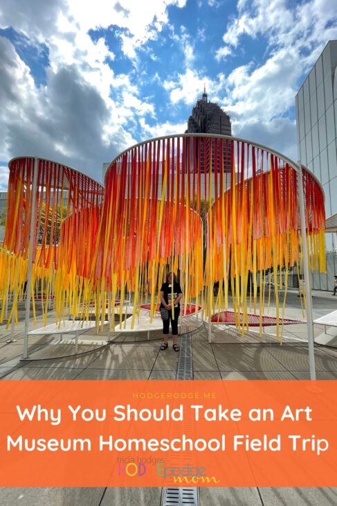 It is amazing to see a work of art in person! Here are several reasons why you should take an art museum homeschool field trip. Includes tips for  your trip.